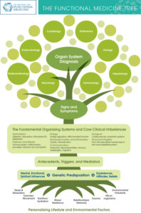 ifm-tree-graphic
