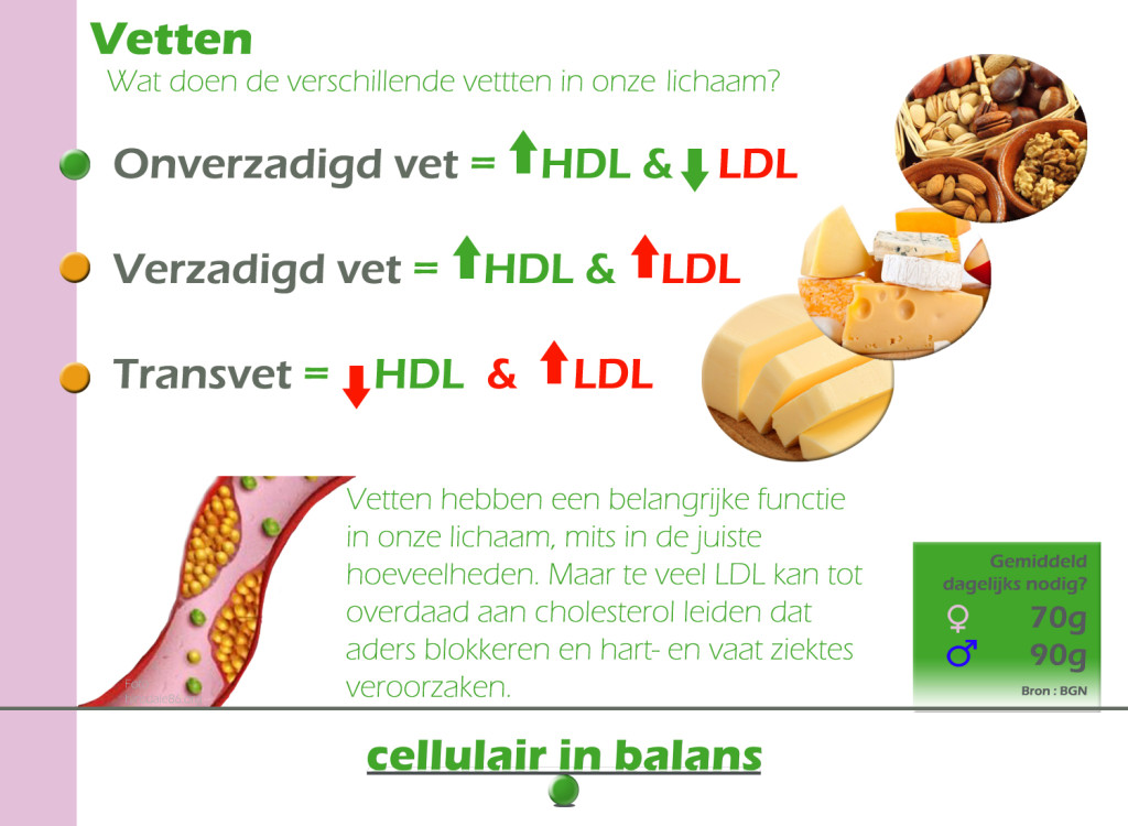 Vetten in onze lichaam