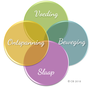 CIB Overgewicht 4 pijlers 2018-09