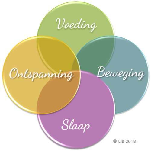 CIB Overgewicht 4 pijlers 2018-09