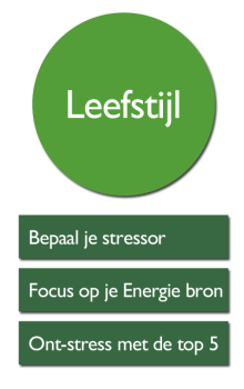 SBT – LD1 Leefstijl SBT - LD1 Leefstijl