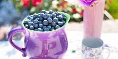 blueberries-864628_1920